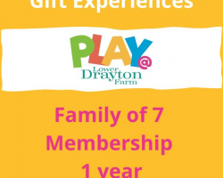 Family of 7 PLAY@ Membership Voucher, 1 year