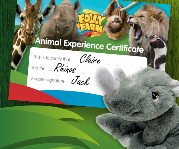 Gift Vouchers Buy Online