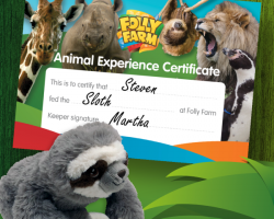 Sloth feeding experience gift voucher for one person including day entry