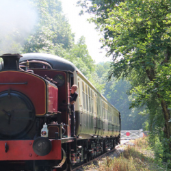 Plym Valley Railway Gift Voucher