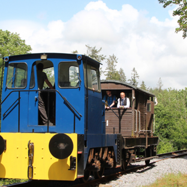 Buy Drive a Train Tickets online Plym Valley Railway