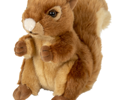 Plan Squirrel Medium