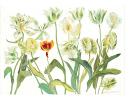 White Tulips greetings card