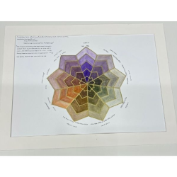 Prismatic Colour Star by Bridgette K Schnider
