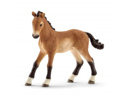 Tennessee Walker Foal