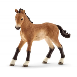 Tennessee Walker Foal