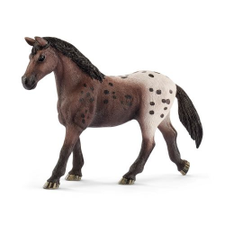 Appaloosa Mare