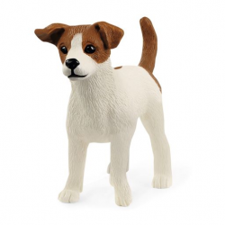 Jack Russell terrier