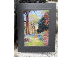 Woodland Path 7" x 5" Print with Mount (15)