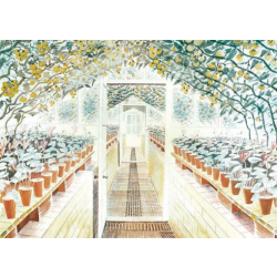 The Greenhouse greetings card