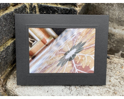 Marble Saloon Floor 7" x 5" Print with Mount (18)