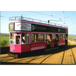 'No. 11 The Pink Tram' Postcard