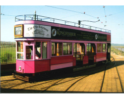 'No. 11 The Pink Tram' Postcard