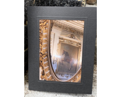 Reflections of Whistlejacket 7" x 5" Print with Mount (24)