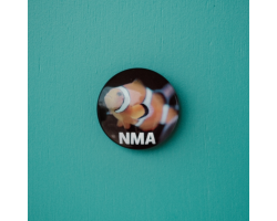 Magnidome - NMA Clownfish Magnet
