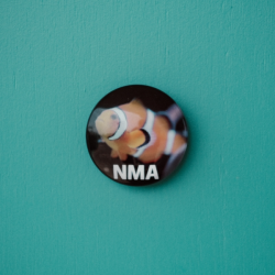 Magnidome - NMA Clownfish Magnet