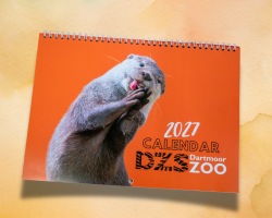 2027 Calendar