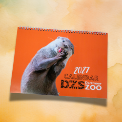 2027 Calendar