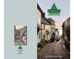 Souvenir Guidebook & Map