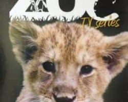 The Zoo DVD Boxset - Series 4-6