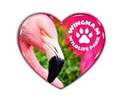 WWP Heart Magnet - Flamingo