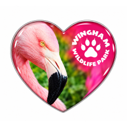 WWP Heart Magnet - Flamingo