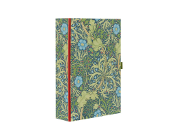 Seaweed Box File