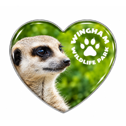 WWP Heart Magnet - Meerkat