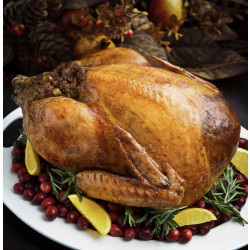 British White Turkey 4.5-5kg. Feeds 4-6 people