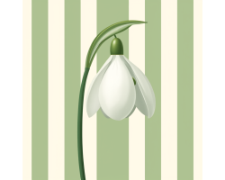 Snowdrop and Stripes Notelets