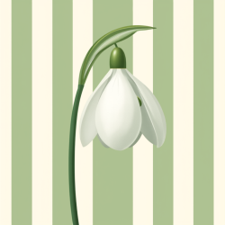 Snowdrop and Stripes Notelets