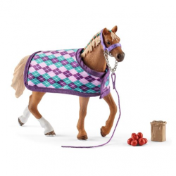 English Thoroughbred with blanket new