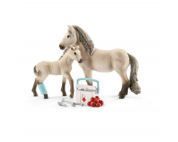 Horse First Aid