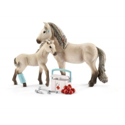 Horse First Aid