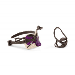Saddle & Bridle Lisa &Storm new