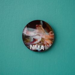 NMA Octopus Magnet