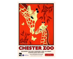 A3 Giraffe Chester Zoo Poster