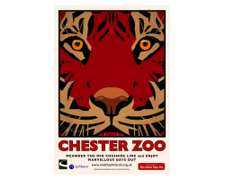 A3 Tiger Chester Zoo Poster