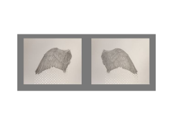 Graphite and Gold (diptych) by Veeda Ahmed