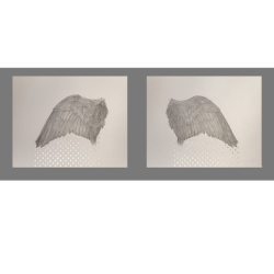 Graphite and Gold (diptych) by Veeda Ahmed