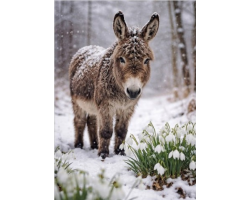 Donkey and Snowdrops
