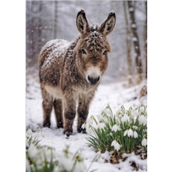 Donkey and Snowdrops
