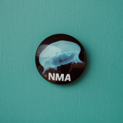NMA Jellyfish Magnet