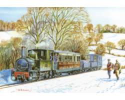 Card 1: Pack of 5
