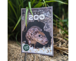 Dublin Zoo guide book with Lowland Paca on the cover