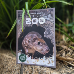 Dublin Zoo guide book with Lowland Paca on the cover