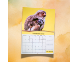 2027 Calendar