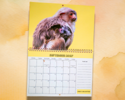 2027 Calendar