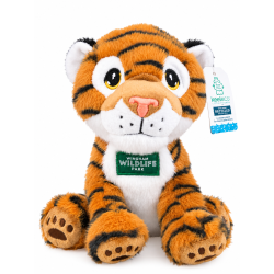 Wingham Wildlife Park Tiger
