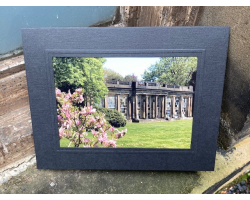 Camellia House with Blossom 7" x 5" Print with Mount (7)